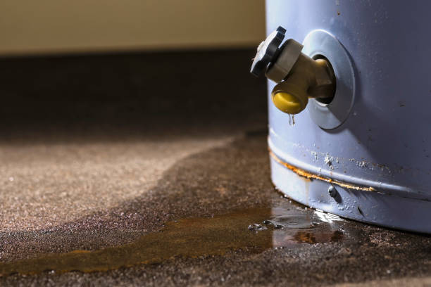Best Residential water damage restoration  in Avon Lake, OH