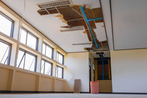 Best Water damage restoration mold remediation  in Avon Lake, OH