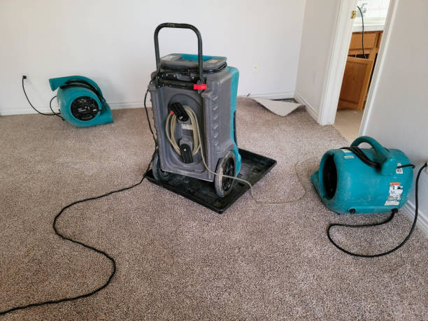 Best Sewage cleanup and water damage restoration  in Avon Lake, OH