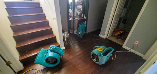 Best 24/7 water damage repair  in Avon Lake, OH
