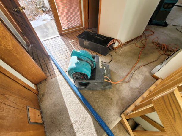 Best Water damage contractors near me  in Avon Lake, OH