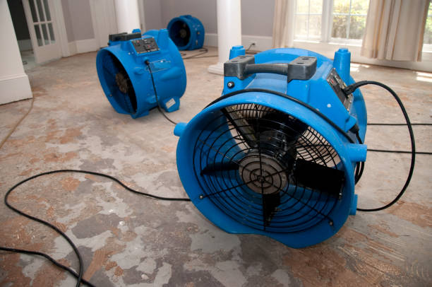 Best Local water damage restoration  in Avon Lake, OH