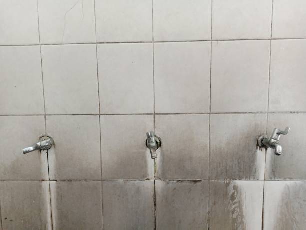  Avon Lake, OH Water damage restoration Pros