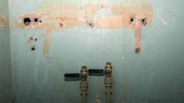 Best Water damage cleanup near me  in Avon Lake, OH