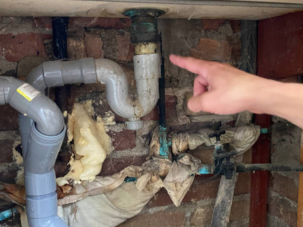 Best Ceiling water damage repair  in Avon Lake, OH